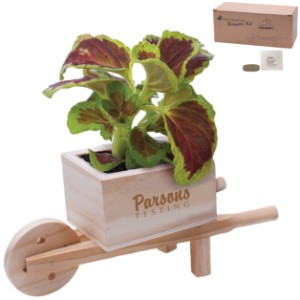 Wooden Wheel Barrow Blossom Kit - IL7230