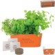 Wall Sprouts Indoor Garden Blossom Kit