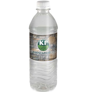 Bottled Spring Water 16.9oz. - MS1015