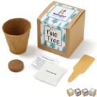 Photo 11 Pine Tree Growables Planter in Kraft Gift Box w/ Label