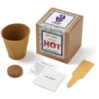 Photo 14 Serrano Peppers Growables Planter in Kraft Gift Box w/ Label