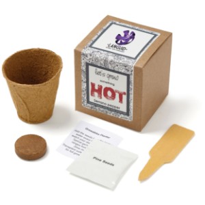 Serrano Peppers Growables Planter in Kraft Gift Box w/ Label - JN1015