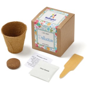 Wildflowers Growables Planter in Kraft Gift Box w/ Label - JN1012