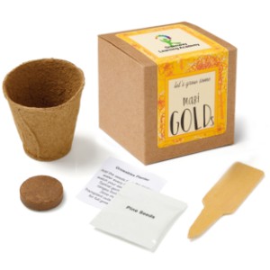 Marigold Growables Planter in Kraft Gift Box w/ Label - JN1010
