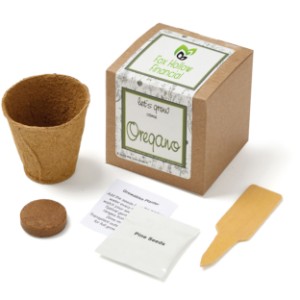 Oregano Growables Planter in Kraft Gift Box w/ Label - JN1009