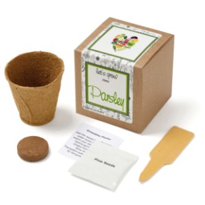 Parsley Growables Planter in Kraft Gift Box w/ Label - JN1008
