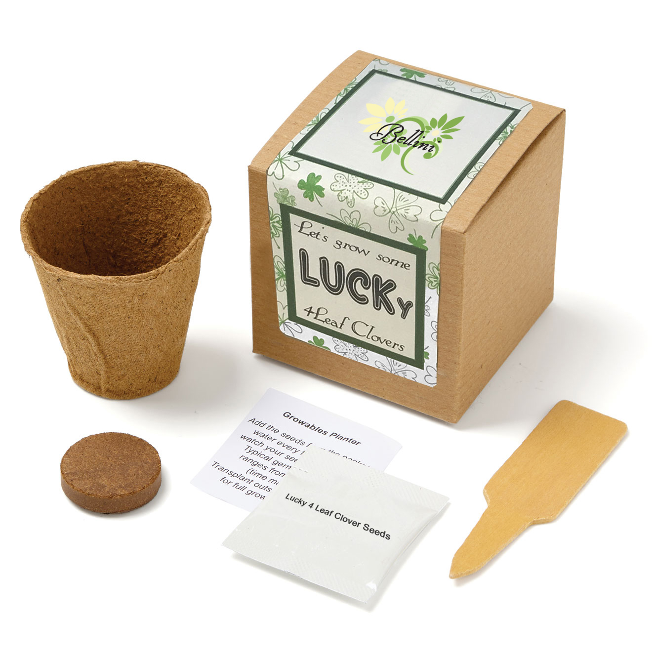 Product Photo 1 Lucky Four Leaf Clover Growables Planter in Kraft Gift Box w/ Label
