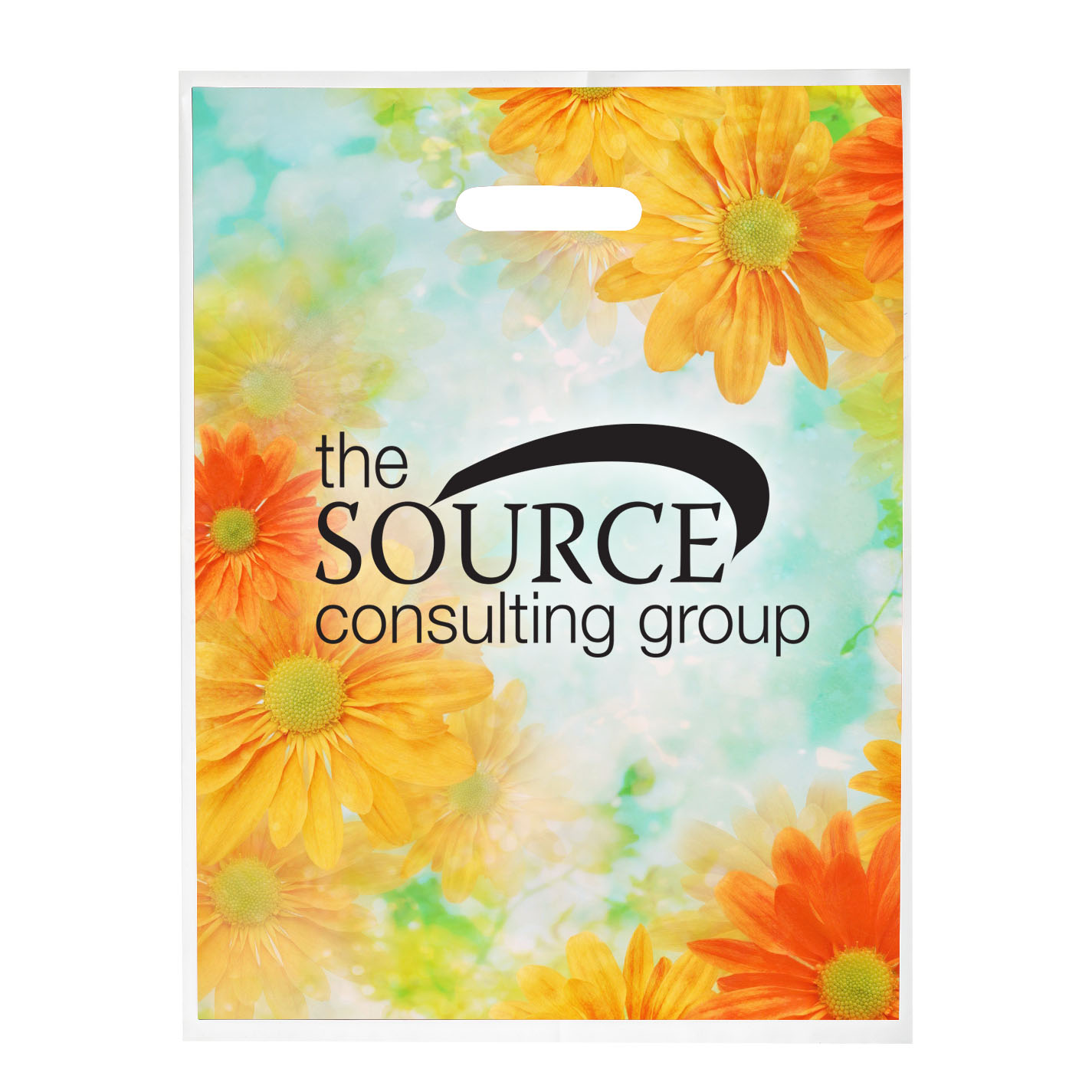 Product Photo 1 Digital Full Color Die Cut Plastic Bag, 12"W x 16"H