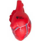 Photo 27 Anatomical Heart with Veins Stress Reliever