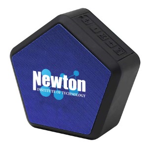 Hive™ True Wireless Portable Surround Sound Speaker - AU1100