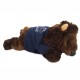 Plains Bison Plush, 8"