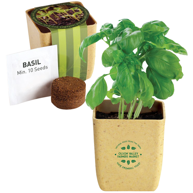 Product Photo 1 Flower Pot Set w/ Basil Seeds