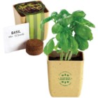 Photo 1 Flower Pot Set w/ Basil Seeds