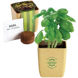 Flower Pot Set w/ Basil Seeds - PM1009