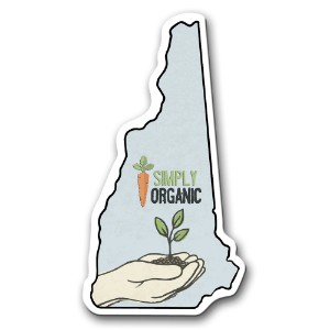 New Hampshire State Shaped Magnet - MG2247