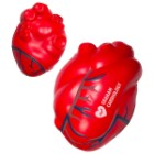 Photo 40 Heart with Blue Veins Stress Reliever