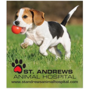 Rectangle Magnet, 3-1/2" x 4" - MG2369