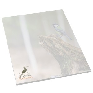 BIC® Adhesive 50 Sheet Large Notepad, 6" x 9" - BC5520