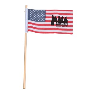 USA Flag with Wood Stick, 3" x 5" - LE2070