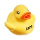 Plain Lil Rubber Duck