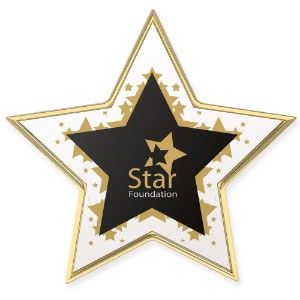 Star Lapel Pin - CJ1005