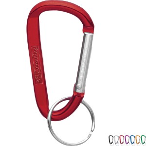 Small Carabiner Key Ring - BT8945