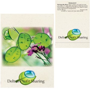 Money Plant Seed Packet - AG2531