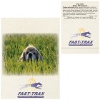 Photo 4 Dog Grass Seed Packet