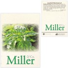 Photo 8 Sweet Basil Seed Packet