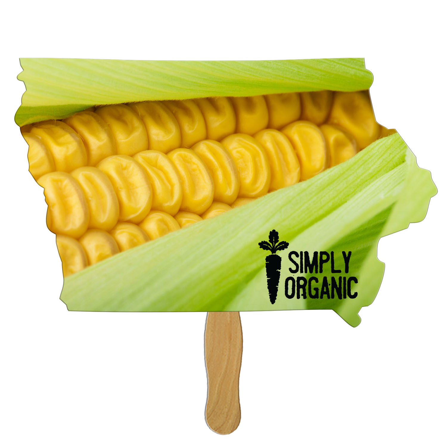 Product Photo 1 Iowa State Hand Fan