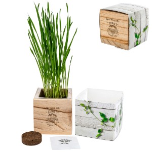 Wooden Cube Grow Kit - AG2555