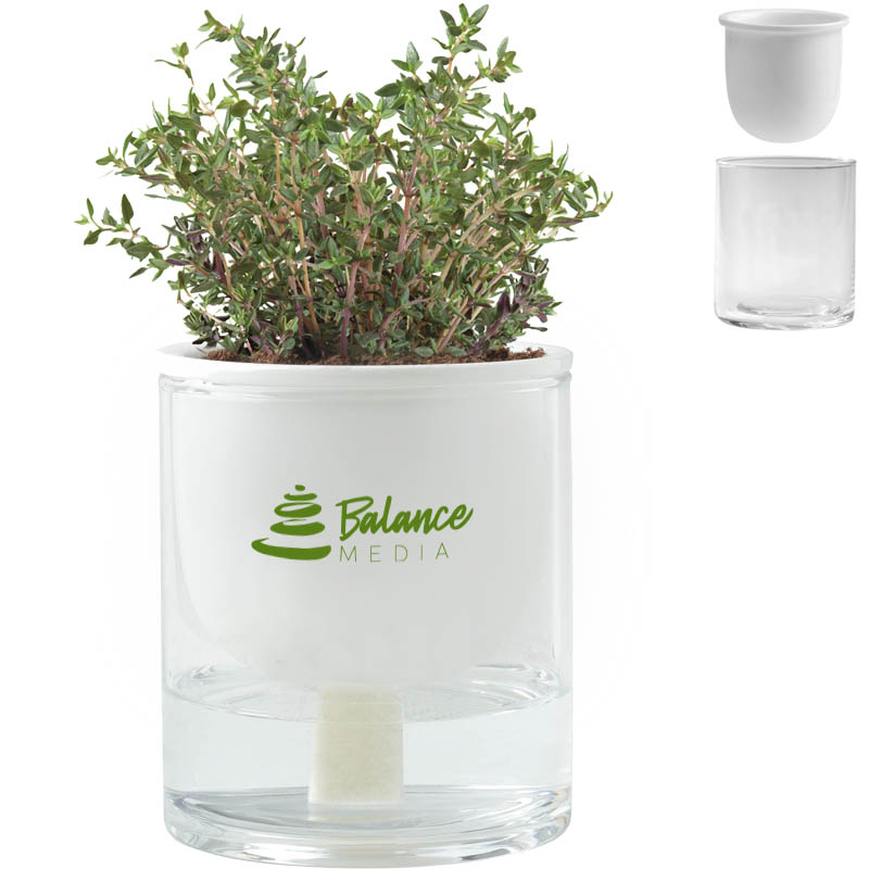 Product Photo 1 Self Watering Planter Set