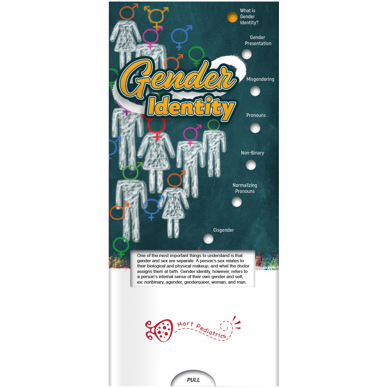 Product Photo 1 Gender Identity Pocket Slider