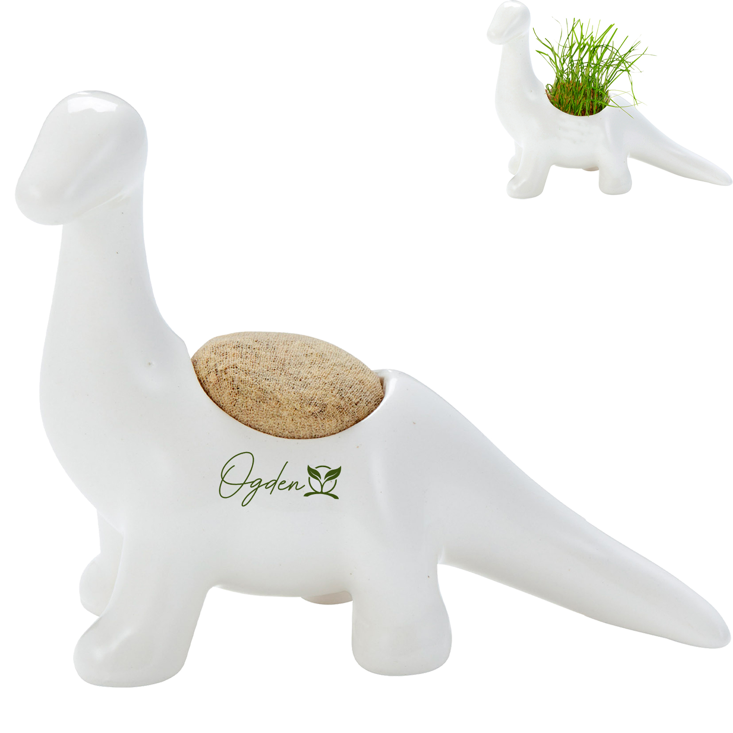 Product Photo 1 Ceramic Dinosaur Planter