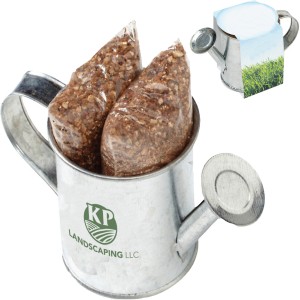 Seed Sensations Watering Can Planter - JN3201