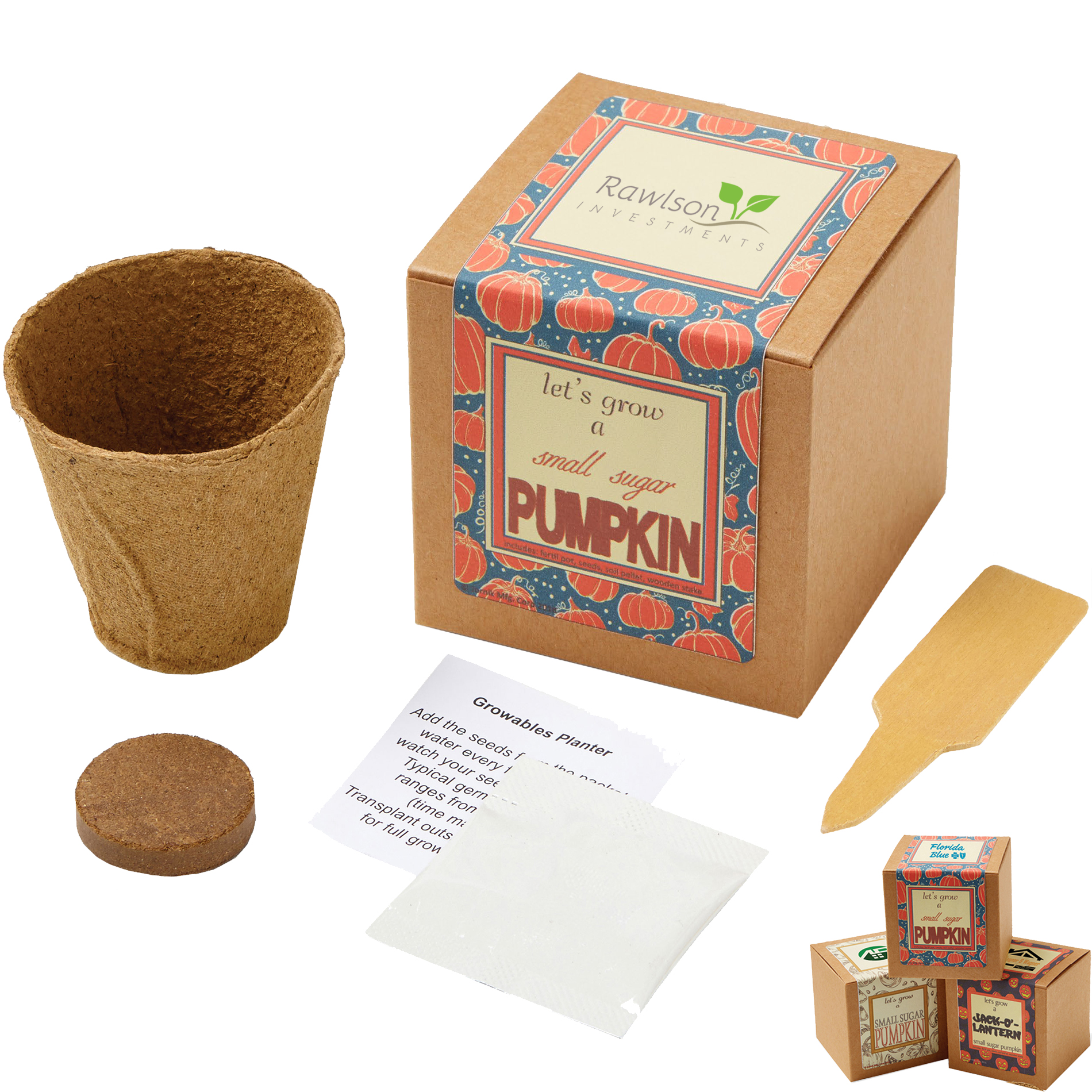 Product Photo 1 Small Sugar Pumpkin Growables Planter in Kraft Gift Box w/ Label