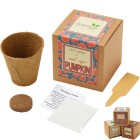 Photo 15 Small Sugar Pumpkin Growables Planter in Kraft Gift Box w/ Label