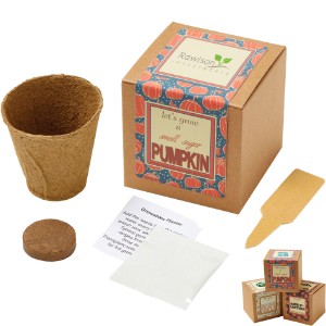 Small Sugar Pumpkin Growables Planter in Kraft Gift Box w/ Label - JN3205