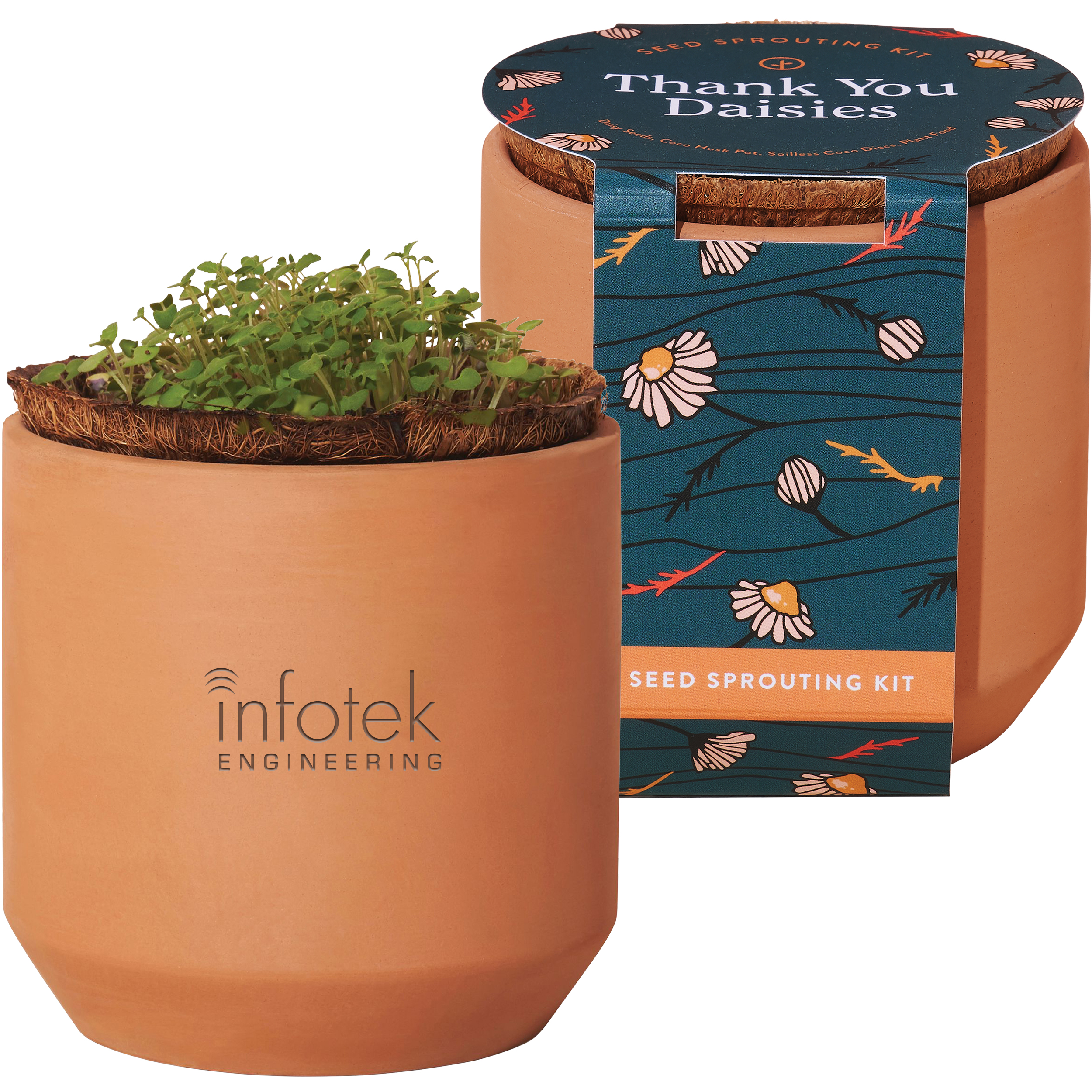 Product Photo 1 Modern Sprout® Tiny Terracotta Grow Kit - Thank You Daisies