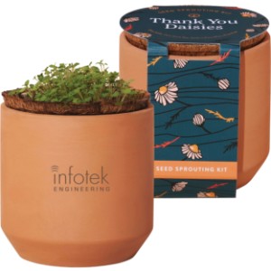 Modern Sprout® Tiny Terracotta Grow Kit - Thank You Daisies - GM6120