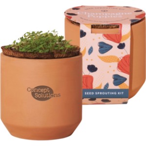 Modern Sprout® Tiny Terracotta Grow Kit - Champagne Poppies - GM6121
