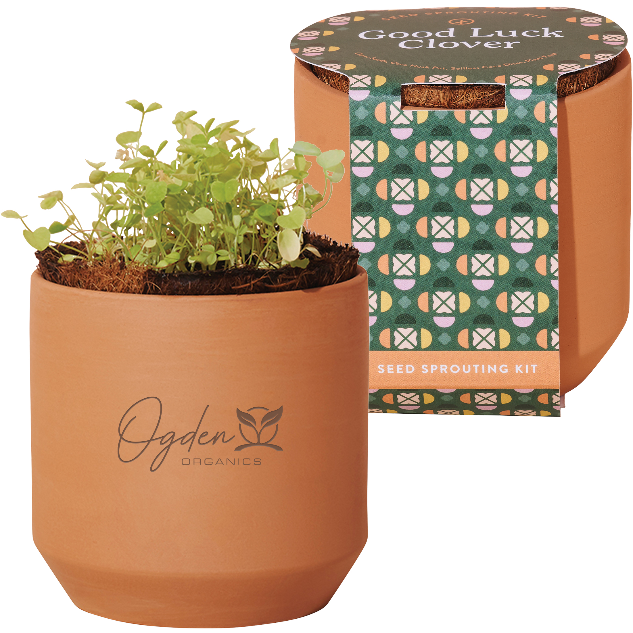 Product Photo 1 Modern Sprout® Tiny Terracotta Grow Kit - Good Luck Clover