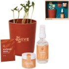 Modern Sprout® Shine Bright Take Care Sunflower Kit