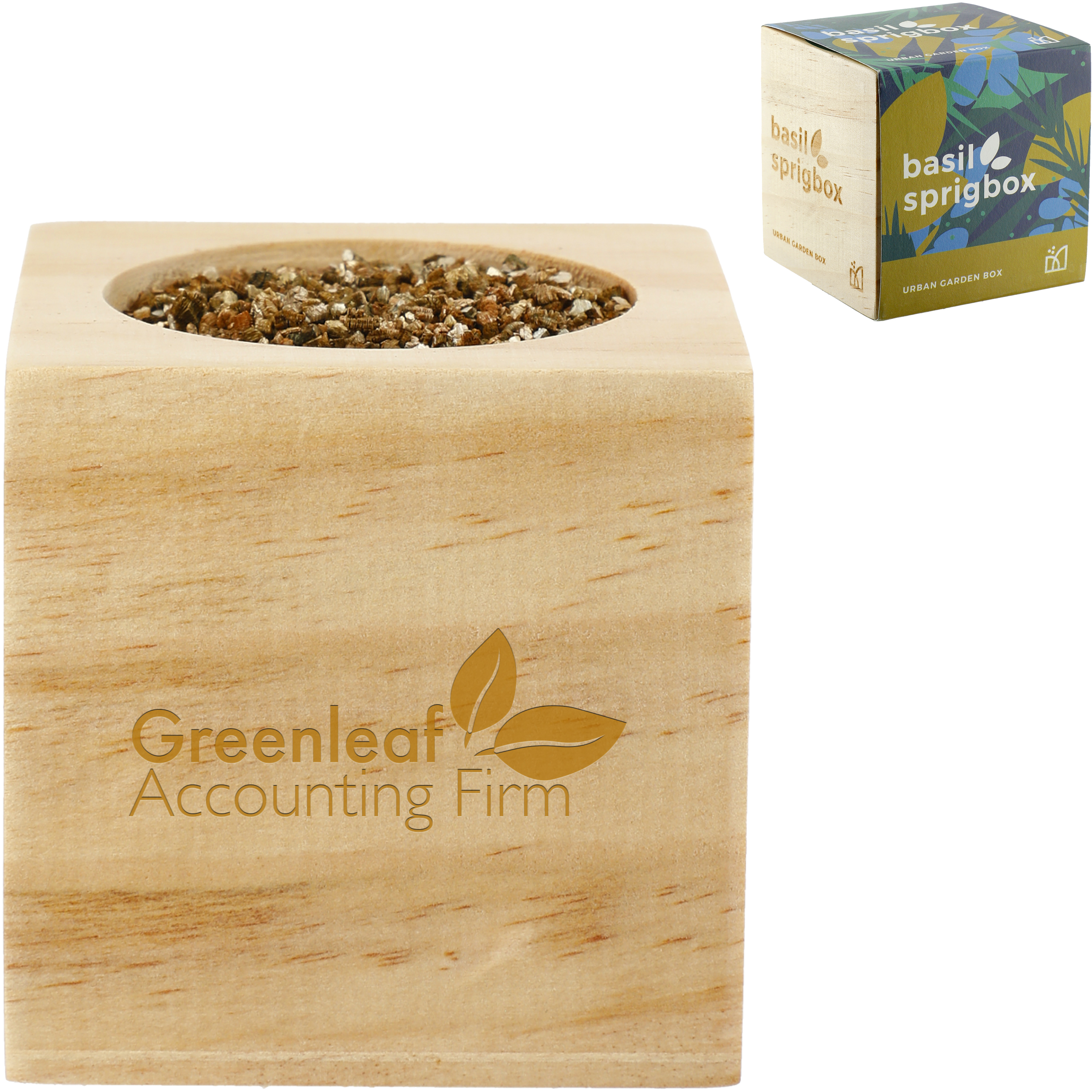 Product Photo 1 Sprigbox Basil Grow Kit