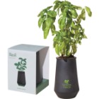 Photo 1 Modern Sprout® Tapered Tumbler Basil Grow Kit