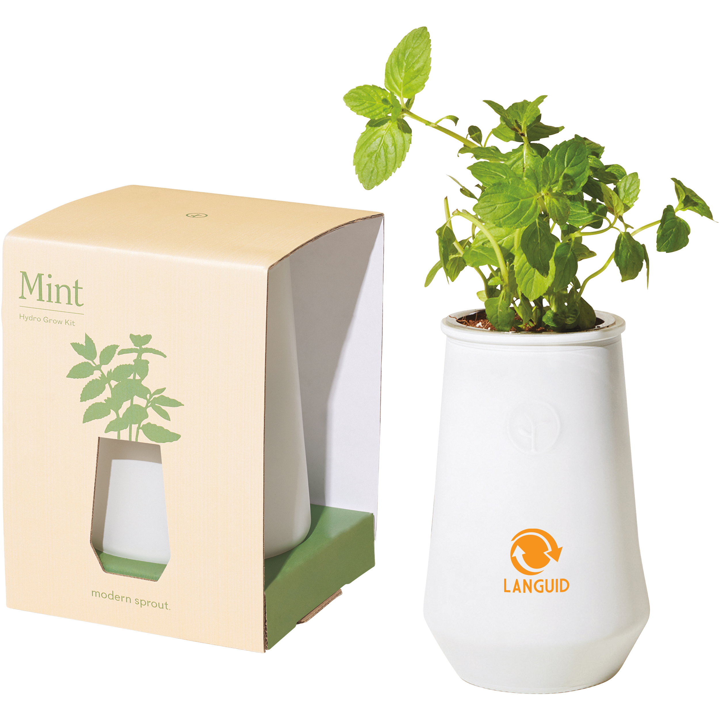 Product Photo 1 Modern Sprout® Tapered Tumbler Mint Grow Kit