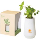 Photo 2 Modern Sprout® Tapered Tumbler Mint Grow Kit