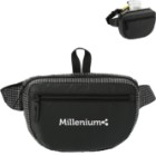 Photo 6 Grid Nylon Fanny Pack
