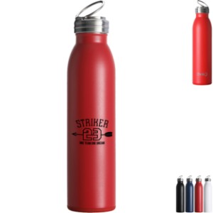 Swig Life™ Stainless Steel Vacuum Insulated Bottle, 20oz. - HT9501