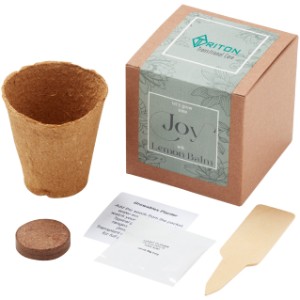 Grow Some Joy Lemon Balm Planter in Kraft Gift Box - JN1185